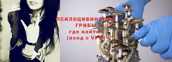 mdpv Надым