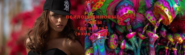 ПСИЛОЦИБИНОВЫЕ ГРИБЫ Нефтегорск