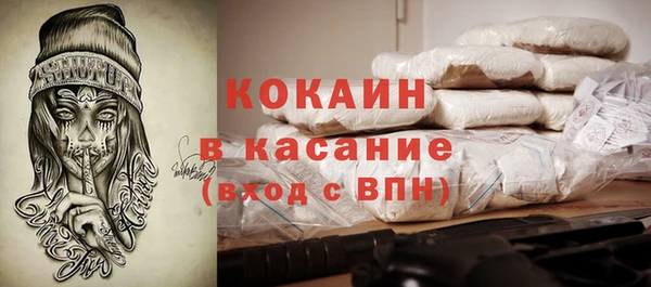 прущие грибы Нея