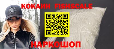 гашик Камышлов