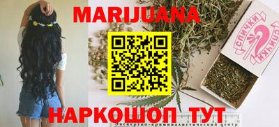 гашик Камышлов