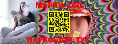 гашик Камышлов