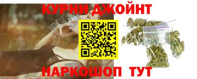 гашик Камышлов