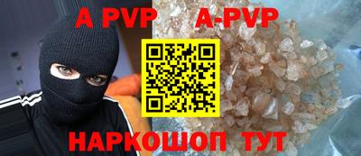 гашик Камышлов